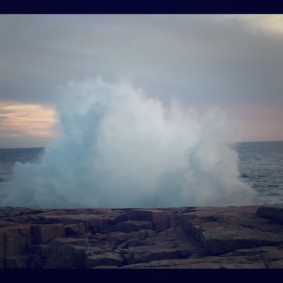 Meet your Posher, Jenni - Picture 1 of 1